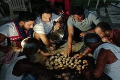 Watch: Actor Pankaj Tripathi Prepares Bihar Delicacy <i>Litti Chokha</i> Watch: Actor Pankaj Tripathi Prepares Bihar Delicacy <i>Litti Chokha</i>