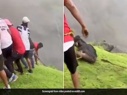 गहरी खाई में गिरी गाय को बचाने के लिए लोगों ने मुसीबत में डाली अपनी जान, Video देख खड़े हो जाएंगे रोंगटे गहरी खाई में गिरी गाय को बचाने के लिए लोगों ने मुसीबत में डाली अपनी जान, Video देख खड़े हो जाएंगे रोंगटे