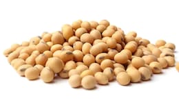 Why Soy Should Be Stocked In Your Pantry For Kids Meals