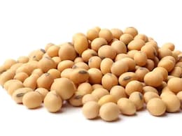 Why Soy Should Be Stocked In Your Pantry For Kids Meals