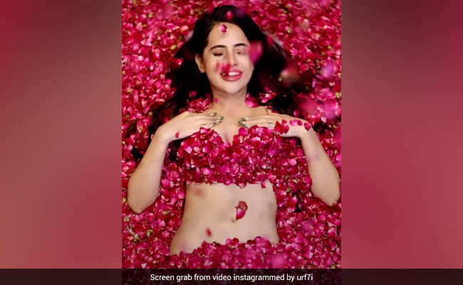 उर्फी जावेद से भी ज्यादा खूबसूरत हैं उनकी मां, लेटेस्ट तस्वीर देख हैरान रह गए फैन्स 