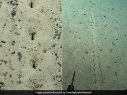 Scientists Ask For Public's Help After Discovering Mysterious Holes On Atlantic Seafloor Scientists Ask For Public's Help After Discovering Mysterious Holes On Atlantic Seafloor