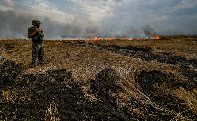 Ukraine Hopes For 1st Grain Shipment Under UN-Brokered Deal This Week