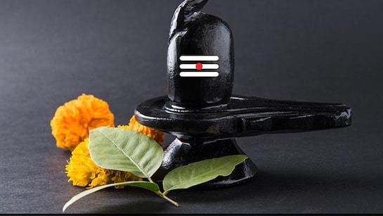 शिवरात्रि पर चढ़ाया जाता है बेलपत्र, लेकिन जान लें बेलपत्र कब तोड़ना चाहिए और कब नहीं