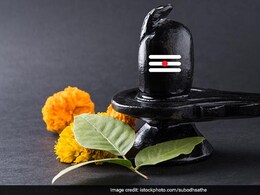 शिवरात्रि पर चढ़ाया जाता है बेलपत्र, लेकिन जान लें बेलपत्र कब तोड़ना चाहिए और कब नहीं शिवरात्रि पर चढ़ाया जाता है बेलपत्र, लेकिन जान लें बेलपत्र कब तोड़ना चाहिए और कब नहीं