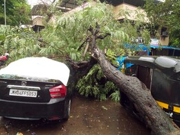 Heavy Rains In Maharashtra's Thane; Chief Minister's Locality Water-Logged