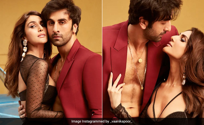 Ranbir And Vaani Kapoor, You Didn't Have To Burn Up The Screen This Way