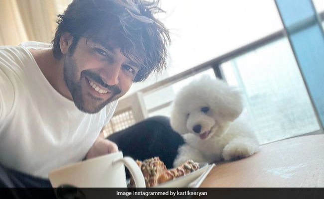 Sorry But Kartik Aaryan's "Coffee Partner" Is Cuter Than Yours