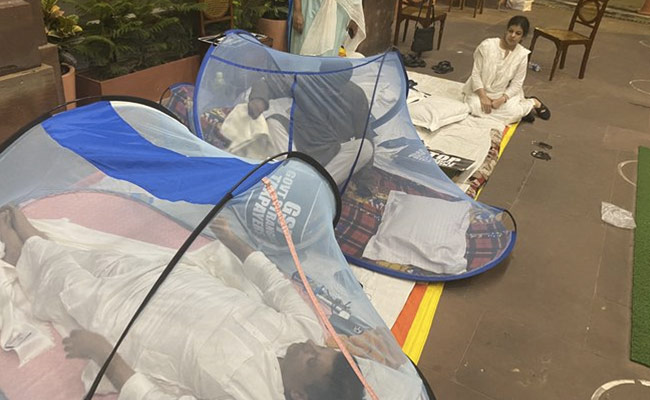 Mosquito Nets, Rain, Idlis: Day 2 Of 50-Hour Protest Outside Parliament By Suspended MPs