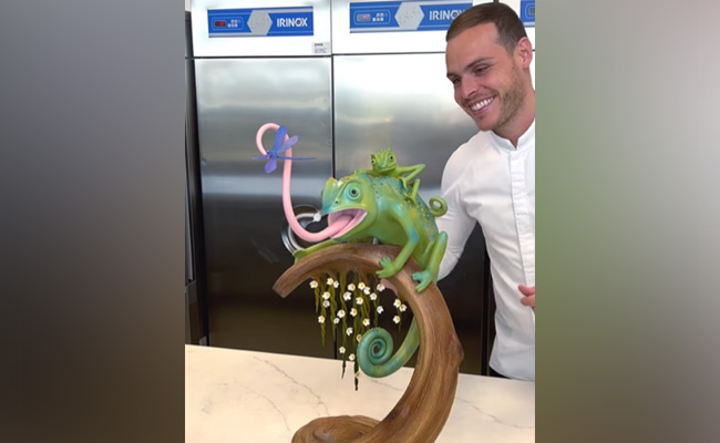 Viral Video: Chef's Chameleon Made Of Chocolate Surprises Internet