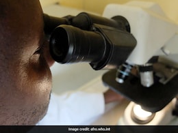 Rwanda Virus: Recent News, Signs, Causes, & Prevention Tips Rwanda Virus: Recent News, Signs, Causes, & Prevention Tips