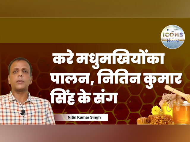 कैसे करे मधुमखियोंका पालन? जानिए Icons Of Bhrat में नितिन कुमार सिंह से