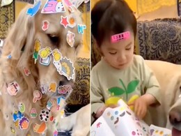 डॉगी के शरीर पर लगा दिए तरह-तरह के स्टीकर्स, गजब का गेम खेल रही ये बच्ची, देखें Viral Video डॉगी के शरीर पर लगा दिए तरह-तरह के स्टीकर्स, गजब का गेम खेल रही ये बच्ची, देखें Viral Video