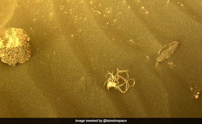 NASA Rover Finds Mysterious "Noodle-like" Object On Mars, Internet Puzzled