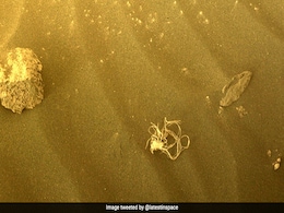NASA को मंगल पर मिली "नूडल-जैसी" रहस्यमयी चीज़, इंटरनेट के लिए बनी पहेली NASA को मंगल पर मिली "नूडल-जैसी" रहस्यमयी चीज़, इंटरनेट के लिए बनी पहेली