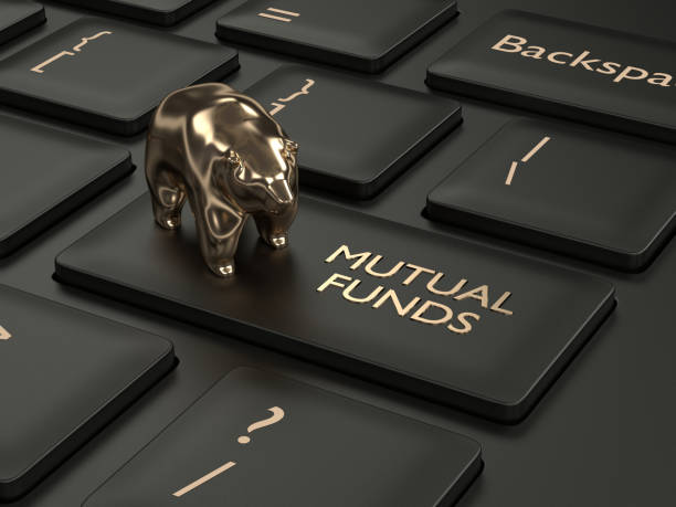 After A 3-Month Lull, A Strong Comeback In New Mutual Fund Offers In July