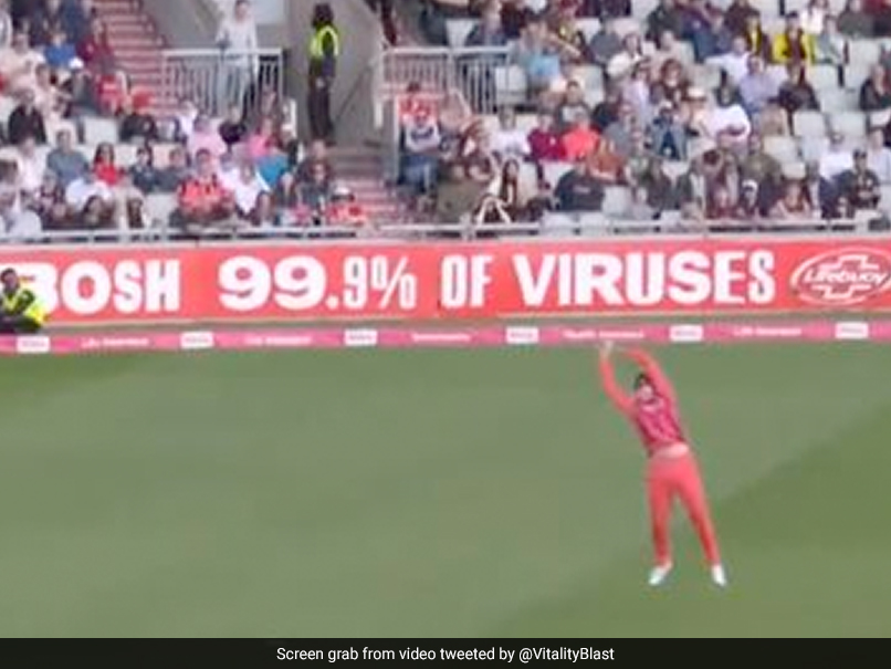Watch: Tim David Takes Stunner To Dismiss Daniel Lawrence In T20 Blast