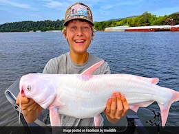 15-Year-Old Boy Catches "Incredibly Rare" All-White Catfish In US 15-Year-Old Boy Catches "Incredibly Rare" All-White Catfish In US