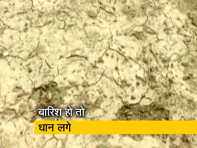 कम बारिश से परेशान हैं बिहार के किसान
