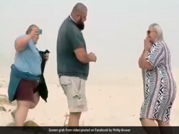 Viral Video: Woman Falls Thrice While Filming Sister's Wedding Proposal Viral Video: Woman Falls Thrice While Filming Sister's Wedding Proposal