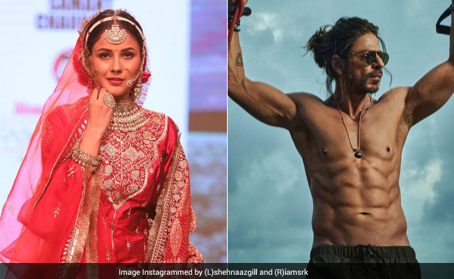 शाहरुख खान के विलेन रोल को काफी पसंद करती हैं शाहनाज गिल, किंग खान की फिल्म 'डर' को लेकर कही ये बात