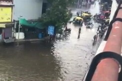 7 Dead In Gujarat As Heavy Rain Leads To Flood-Like Situation 7 Dead In Gujarat As Heavy Rain Leads To Flood-Like Situation