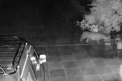 घर के दरवाजे पर सो रहा था कुत्ता, दबे पांव आया तेंदुआ, पास जाकर किया अटैक और फिर... घर के दरवाजे पर सो रहा था कुत्ता, दबे पांव आया तेंदुआ, पास जाकर किया अटैक और फिर...