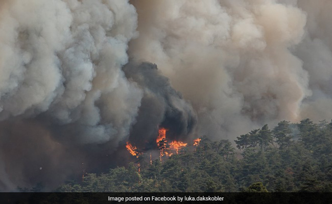 Slovenia Wildfires Are Setting Off 100-Year-Old Bombs On World War I Battlegrounds: Report