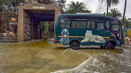 Heavy Rain Alert In 8 States Today, Flood Situation May Worsen