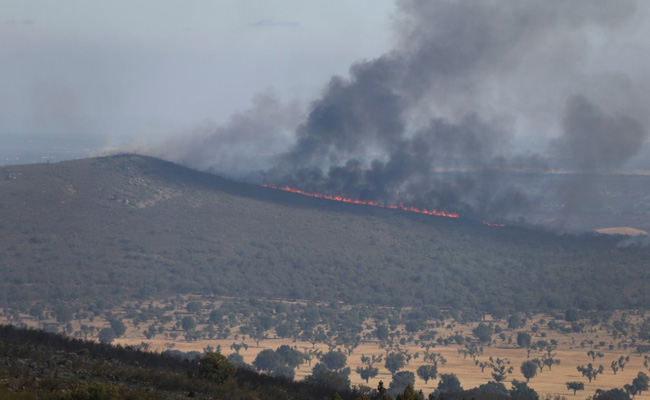 Spanish Man Burnt By Wildfire While Trying To Save Town Fights For Life