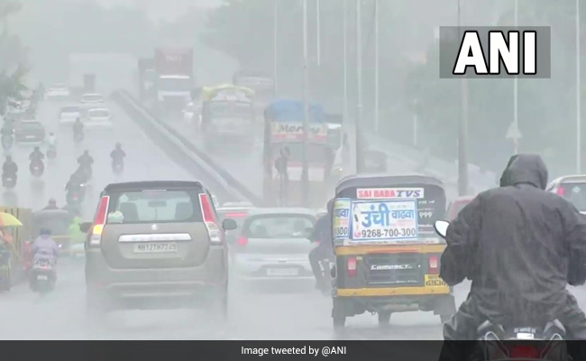 Heavy Rain In Maharashtra's Palghar; Red Alert For Next 2 Days