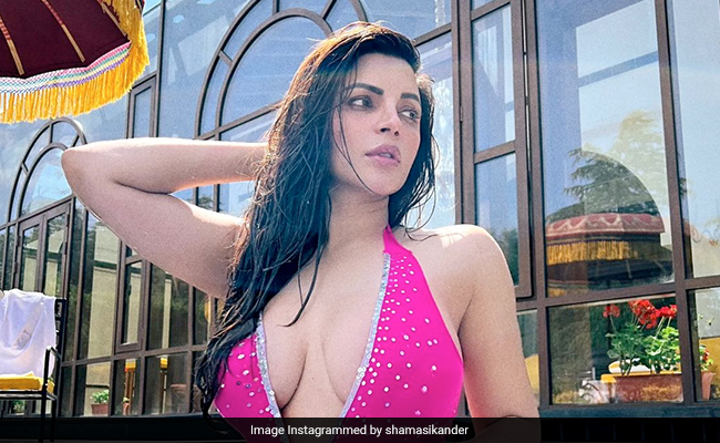 In Case You Didn't Know, Shama Sikander's Swimsuits Are For The Mountains Too