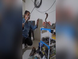 जूते में छिपा था ख़तरनाक कोबरा, समय रहते शख्स ने देख लिया, नहीं तो 'अनहोनी' हो जाती जूते में छिपा था ख़तरनाक कोबरा, समय रहते शख्स ने देख लिया, नहीं तो 'अनहोनी' हो जाती