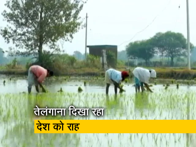 तेलंगाना की तस्वीर बदली : उन्नत होती खेती की कहानी