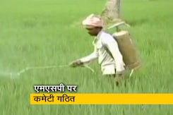 एमएसपी पर सरकार ने गठित की कमेटी, SKM के तीन सदस्य भी होंगे शामिल एमएसपी पर सरकार ने गठित की कमेटी, SKM के तीन सदस्य भी होंगे शामिल