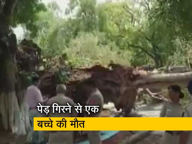 चंडीगढ़ के एक स्कूल में पेड़ गिरने से एक बच्चे की मौत, कई गंभीर रूप से घायल