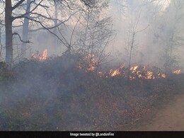 Fire Cases Surge In London Amid Heatwave Fire Cases Surge In London Amid Heatwave