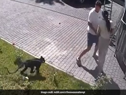Video: Girl Viciously Attacked By Monkey From Millionaire's Private Zoo Video: Girl Viciously Attacked By Monkey From Millionaire's Private Zoo