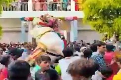 Viral: Annoyed by Loud Music, Horse Kicks '<i>Baraatis</i>' Viral: Annoyed by Loud Music, Horse Kicks '<i>Baraatis</i>'