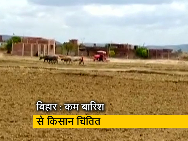 बिहार में बारिश कम होने से 'खेती पर संकट', आसमान ताक रहे हैं किसान