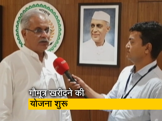 छत्तीसगढ़ में त्योहार हरेली की धूम, संस्कृति और परंपरा से जुड़ा है पर्व