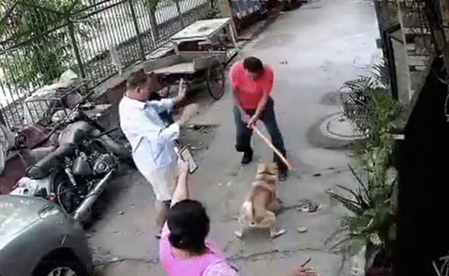 Video: पालतू कुत्ता के भौंकने से नाराज पड़ोसी जान लेने पर हुआ उतारू, बचाने आए 3 लोगों को रॉड से पीटा