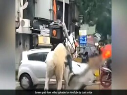 मुंबई में भारी बारिश के कारण Swiggy Delivery Boy ने घोड़े पर चढ़कर लोगों को खाना पहुंचाया, वीडियो हुआ वायरल मुंबई में भारी बारिश के कारण Swiggy Delivery Boy ने घोड़े पर चढ़कर लोगों को खाना पहुंचाया, वीडियो हुआ वायरल