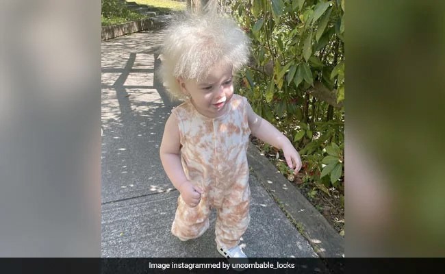 इस बच्ची को देखने के बाद लोग सोशल मीडिया पर पूछ हैं कि क्या Einstein का पुनर्जन्म हो चुका है?