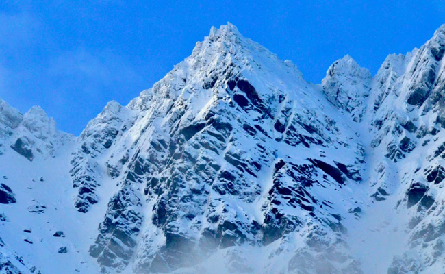 New Zealand Climbers Built Snow Cave To Survive Terrifying Avalanche