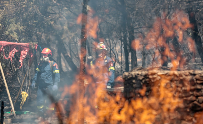 Hundreds Evacuated After Wildfire Cases Surge In Suburbs Of Greece