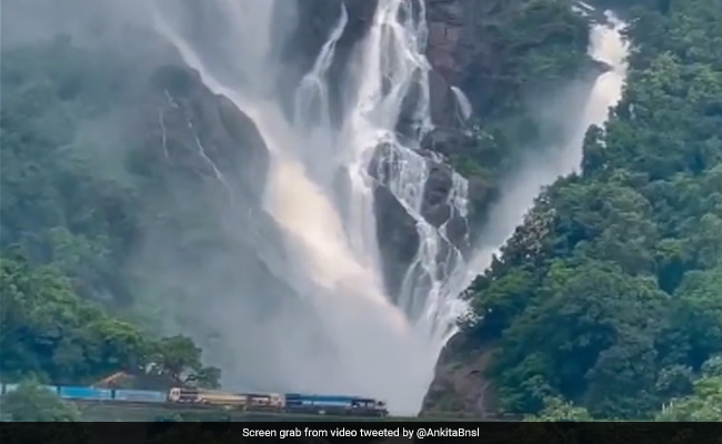 Watch: Goa's Dudhsagar Falls Captured In All Its Monsoon Glory