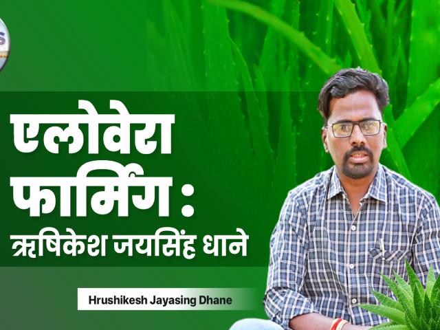 ऋषिकेश जयसिंह धाने से जानिए कैसे एलोवेरा फार्मिंग से उन्होंने कमाए लाखो