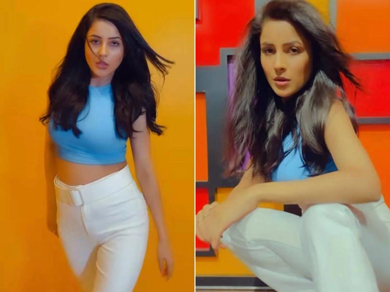 Making Everyday Basics Look Trendy Is Shehnaaz Gill In A Crop Top, Wide Leg Pants