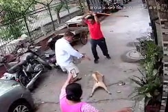 Man Annoyed With Barking, Hits Dog, Neighbours With Iron Rod Man Annoyed With Barking, Hits Dog, Neighbours With Iron Rod